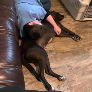 Meet your Posher, Cari